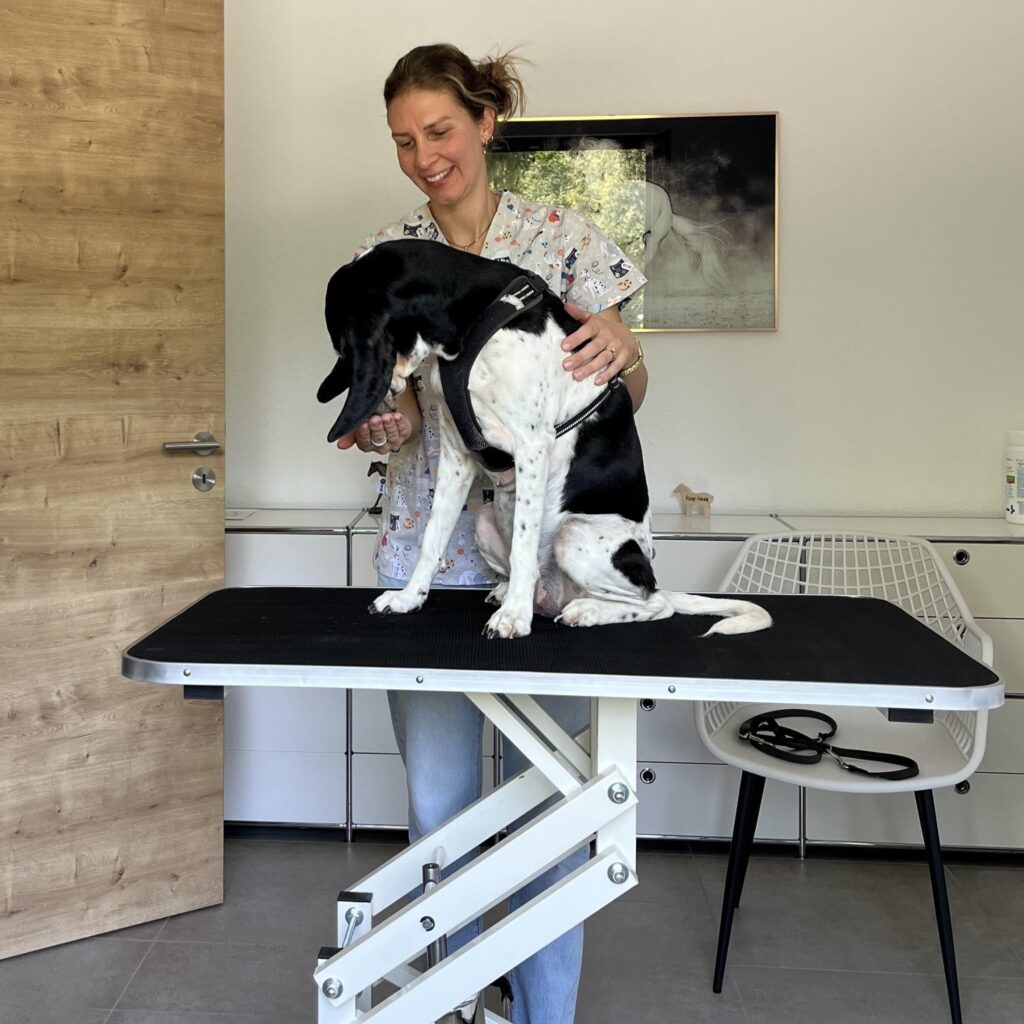 Tierhomöopathie Hund Baselland