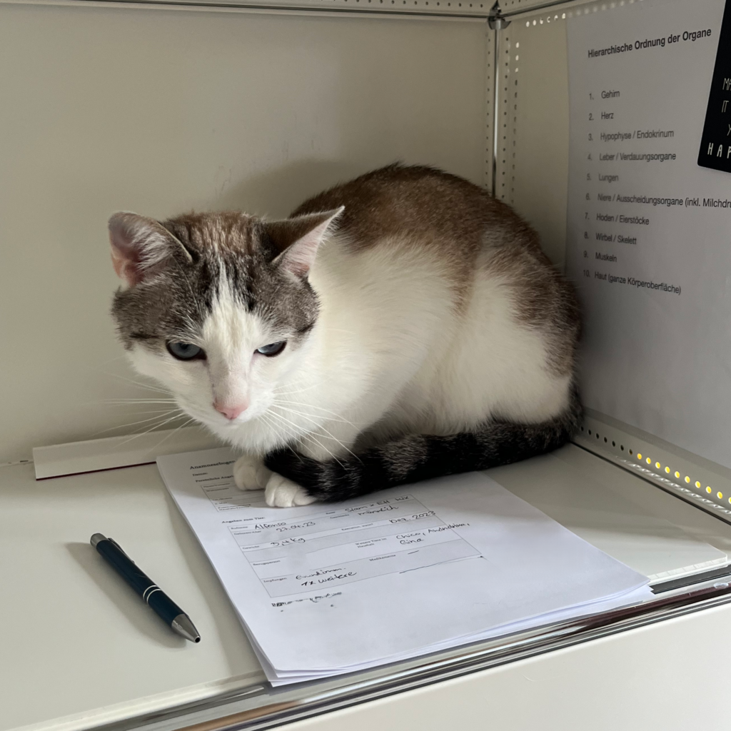 Tierhomöopathie Katze Baselland